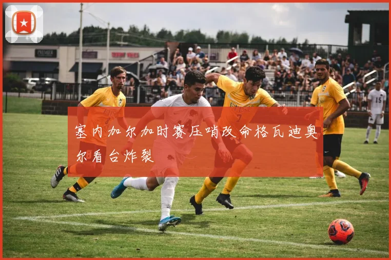 塞内加尔加时赛压哨改命格瓦迪奥尔看台炸裂