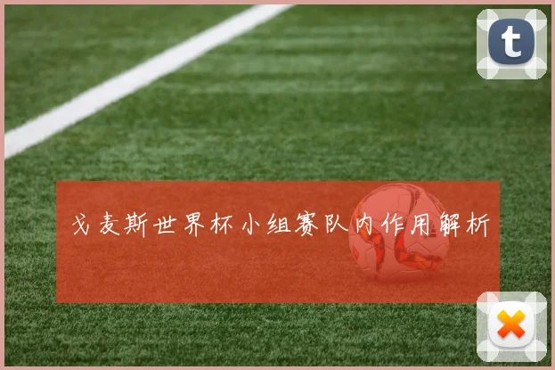 戈麦斯世界杯小组赛队内作用解析