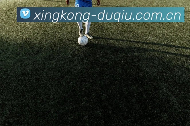 星空体育官网应用图标
