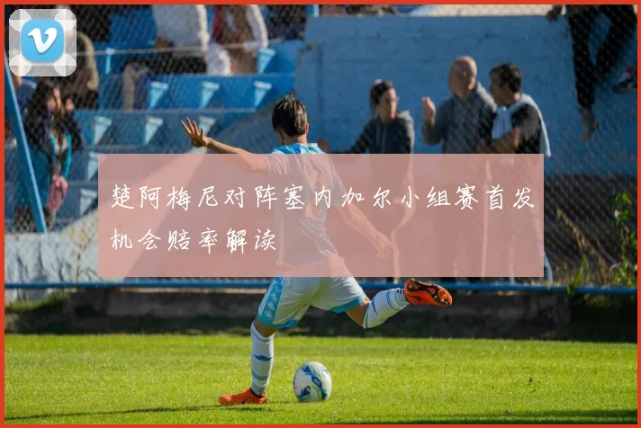 楚阿梅尼对阵塞内加尔小组赛首发机会赔率解读
