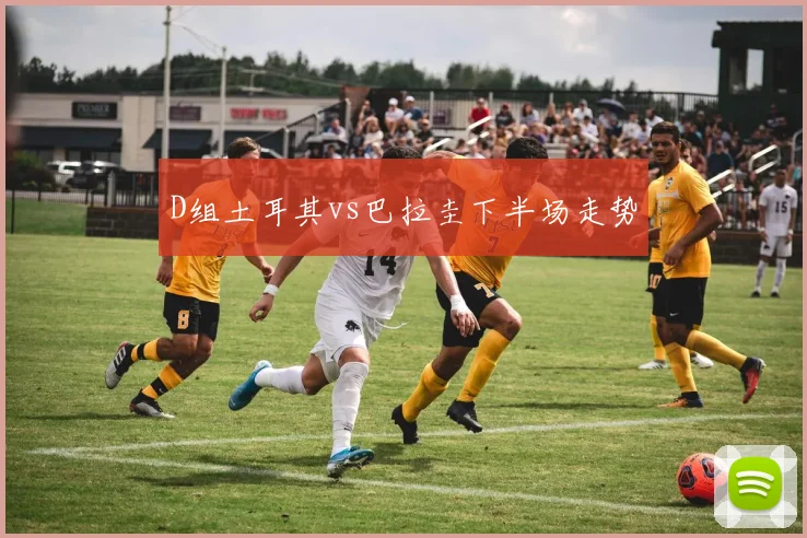 D组土耳其vs巴拉圭下半场走势