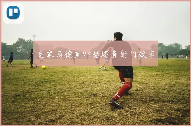 皇家马德里vs赫塔费射门效率